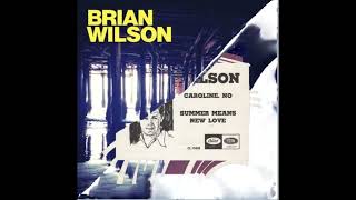 The Beach Boys Summer Means New Love (1965) &amp; Brian Wilson Somewhere Quiet (2015) Custom Mash-up
