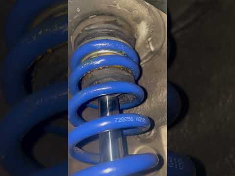 Coilover noise, still searching for a fix