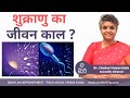 Lifespan Of A Sperm शुक्राणु का जीवन काल Male Fertility Tips Dr Ch