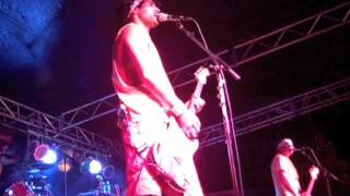 Pepper Returns Home November 2011