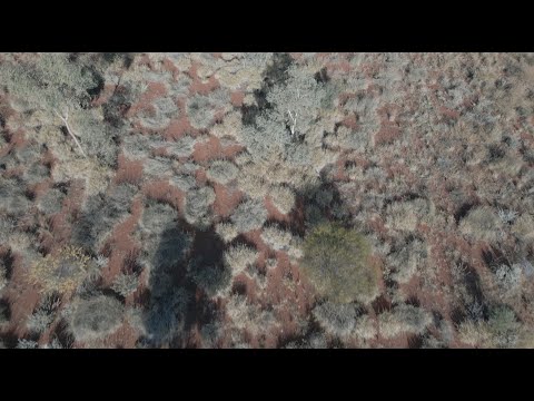 "It's from the beginning" - Water Justice Project - First Release