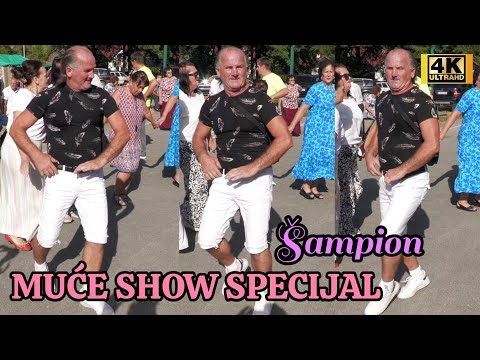 Muće Šampion SHOW specijal #4k - Ilidžanka #kolo  za Ivi Phoenix