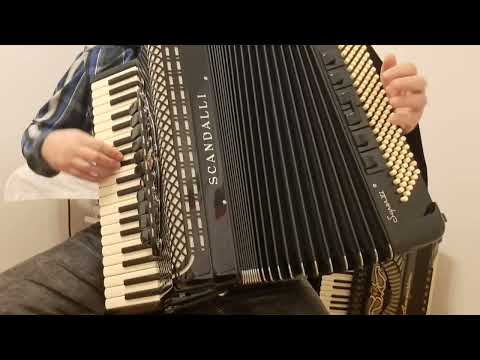 Pozdravi je pozdravi ( cover ) Davor Horvat, Škola harmonike