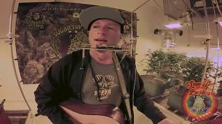 Serenaded Buds Presents: Dan Bern - Black Tornado