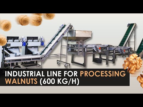 Industrial line for the processing of walnuts of a full cycle at 1000 kg/h. Overview