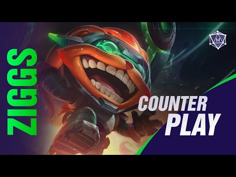 Champion counters video