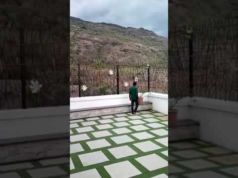 Artificial Grass Carpet