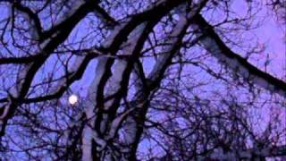 Crash Test Dummies - Winter Song - winter solstice images