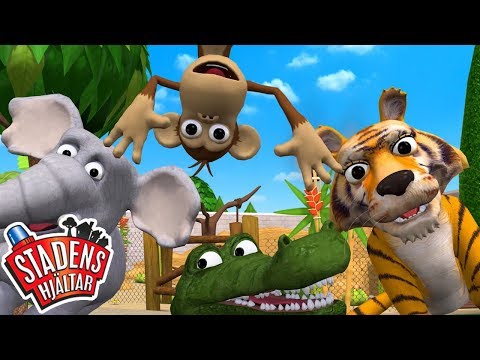 Zoo | Stadens Hjältar Sång - Barnmusik | Bilar Tecknad för barn | Fordon Barnprogram