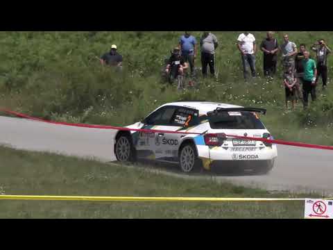 Рали сезон 2019