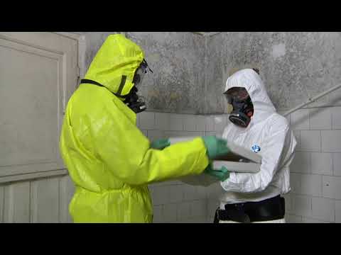 Ekspertyza mykologiczna - jak wygląda w zabytku i w domu prywatnym