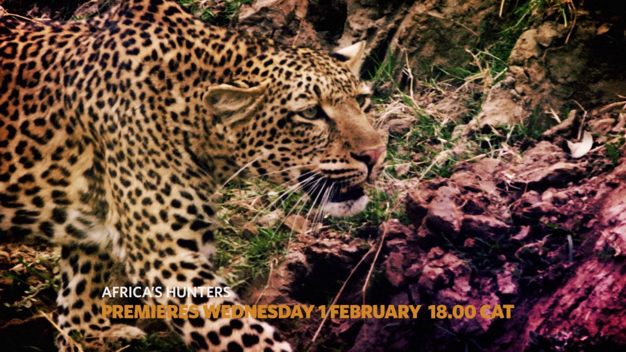 Africa's Hunters