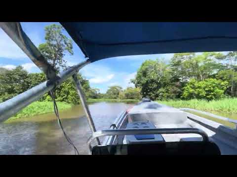 Viagem em Barreirinha Amazonas 