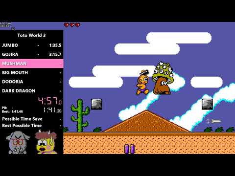 Toto World 3 "Any%" Speedrun in 10:06