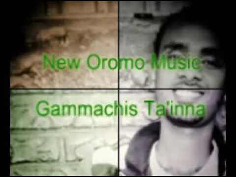 Gammachis Ta'inna-New Afaan Oromo Music-