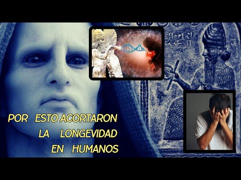 POR ESTO ACORTARON LA LONGEVIDAD DEL HUMANO