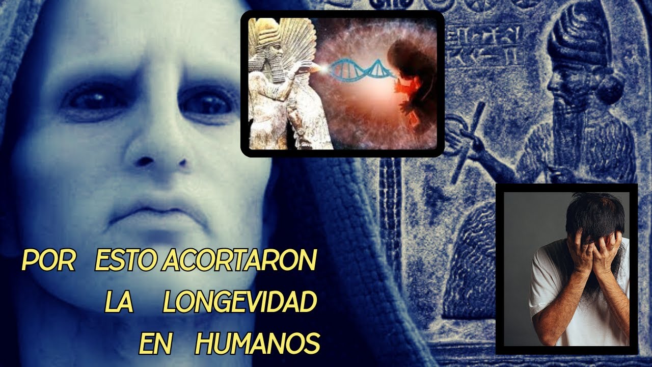 POR ESTO ACORTARON LA LONGEVIDAD DEL HUMANO