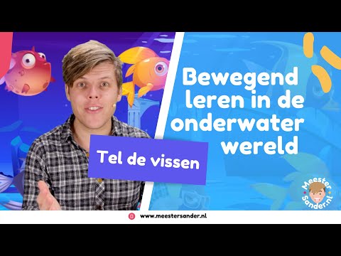 Tel de vissen in de onderwaterwereld - Bewegend leren met meester Sander
