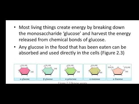 Grade 11 Biology, Chapter 2, 2.1.2, Carbohydrate (Part 1)