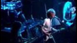 Game Theory: Leilani 1988