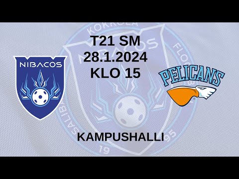 T21 SM: Nibacos - Pelicans SB 28.1.2024