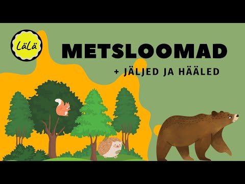 METSLOOMAD + jäljed ja hääled | ÕPIME EESTI KEELT | Mängime peitust | Väikelastele