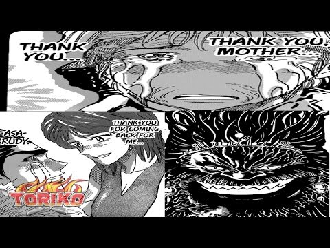 Toriko Manga 351 - We've Completed It Review