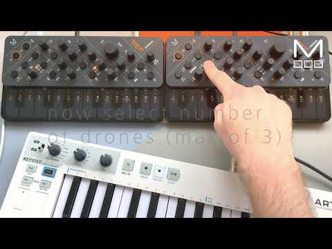 SKULPT synthesiser - 8 Voice Polychain