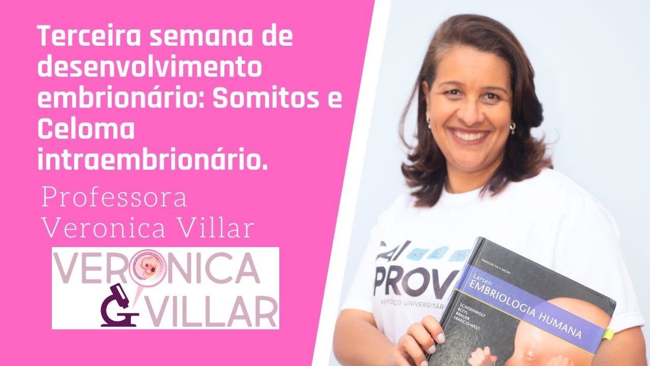 Embriologia Geral. Terceira semana de desenvolvimento: somitos e celoma intraembrionário.