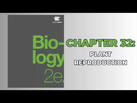 OpenStax Biology 2e (Audiobook) - Chapter 32: Plant Reproduction
