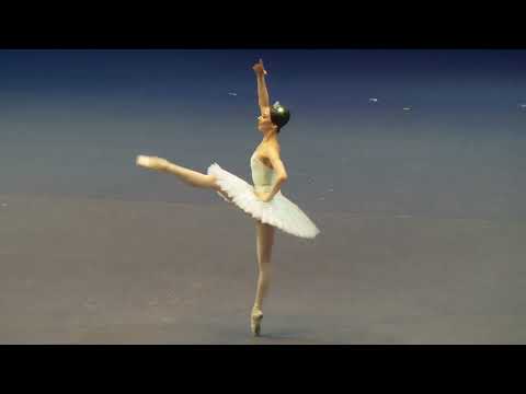 Elizaveta Kokoreva - Grand Pas Classique part 2 9.06.2021 Benois de la Danse