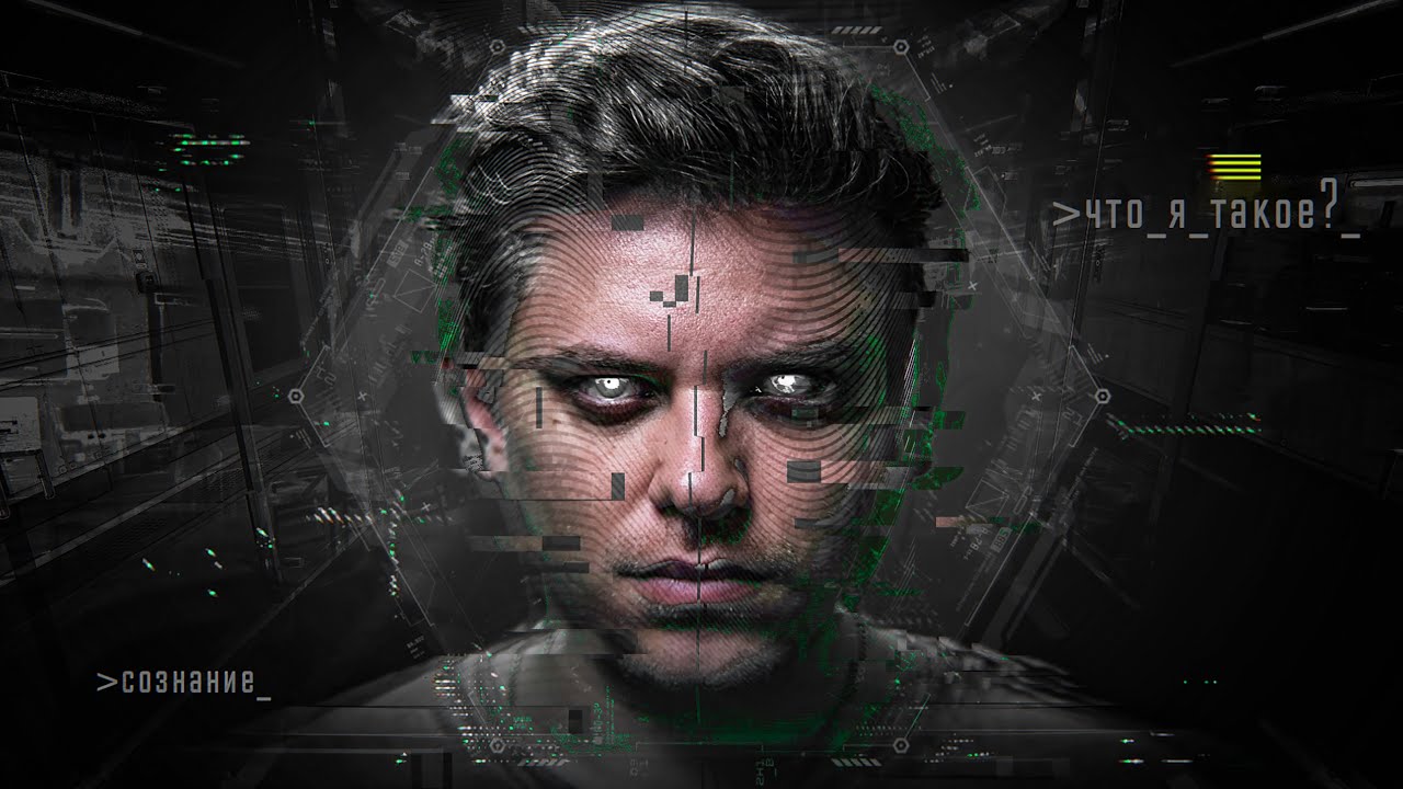 МОЗГ НА ФЛЕШКЕ/ЦИФРОВОЕ БЕССМЕРТИЕ