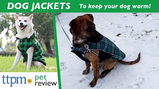 Winter Jackets for Dogs | Will They Keep your Dog Warm? | (W