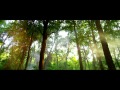 Vanamagan 2017 Full Movie