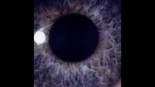 Dan Swano  Creating Illusions