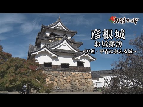 刀剣ワールド 城 彦根城 国宝5城 の歴史と観光ガイド
