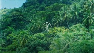 PNL // On enverra Mowgli chercher médailles (instru)