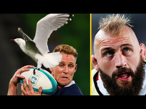 Weird and Funny Moments During a Rugby Match