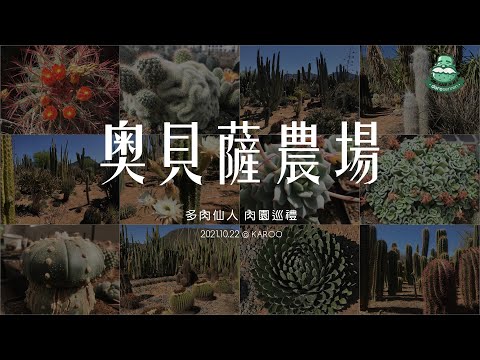奧貝薩農場