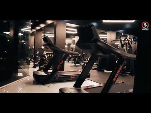 fitgym equipments pvt ltd