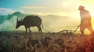 Download lagu GMA 7's Lupang Hinirang 2013 True HQ Video mp3