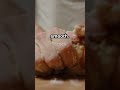 Bake Fresh Bread At Home Easy Recipe HomemadeBread Baking EasyRecipe FreshBread SeeDescription
