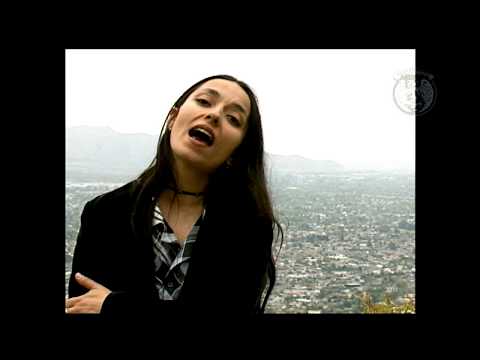 LOS JAIVAS: TODOS JUNTOS  / AMIGOS