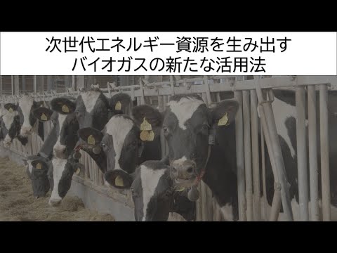 次世代エネルギー資源を生み出すバイオガスの新たな活用法