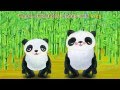 Head Shoulders Knees and Toes - Children Songs ...