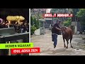 IDUL ADHA CORE Deretan Momen Ngakak Hari Raya Kurban 2024