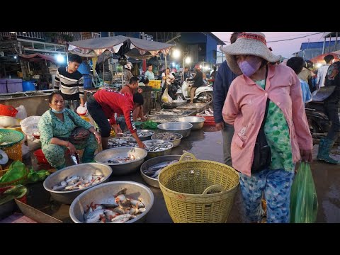 Cambodia Fish Market in Early Morning - Daily Lifestyle & Activities of Vendors Selling Fish & More