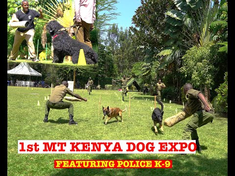 1st Mt Kenya dogs expo. Ft. POLICE K-9 UNIT EASTERN REGION