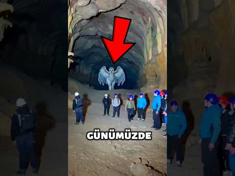 GÜNÜMÜZE KADAR YAŞAYAN EN ESKİ 5 HAYVAN 😱