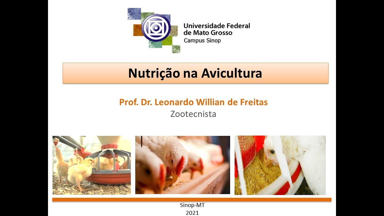 Princípios da Nutrição na Avicultura